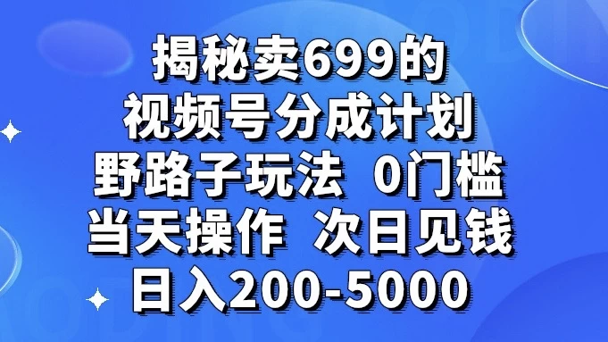 揭秘卖 699 的视频号分成计划野路子玩法，日入 200-5000，0 门槛，当天操作，次日见钱 - 友友资源