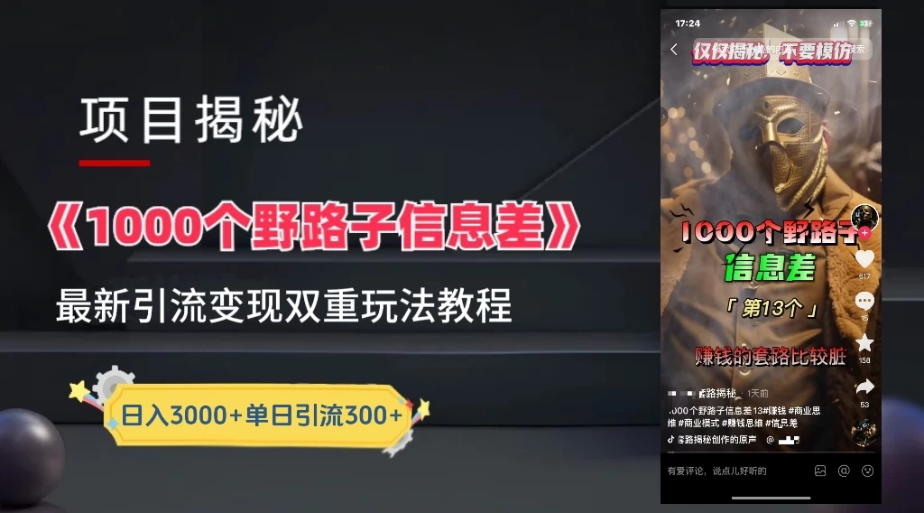 抖音最新一千个野路子玩法教程，变现+引流双重玩法，野路子信息差 - 友友资源