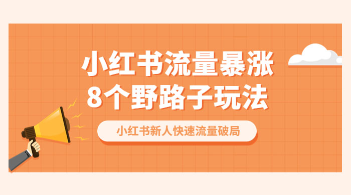 小红书流量暴涨 8 个野路子玩法：小红书新人快速流量破局（ 8 节课） - 友友资源