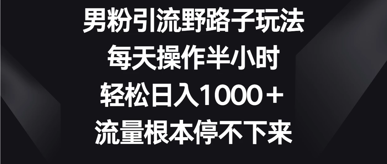 男粉引流野路子玩法，每天操作半小时轻松日入1000＋，流量根本停不下来 - 友友资源