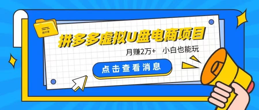 拼多多虚拟U盘电商红利项目：月赚2万+，新手小白也能玩 - 友友资源