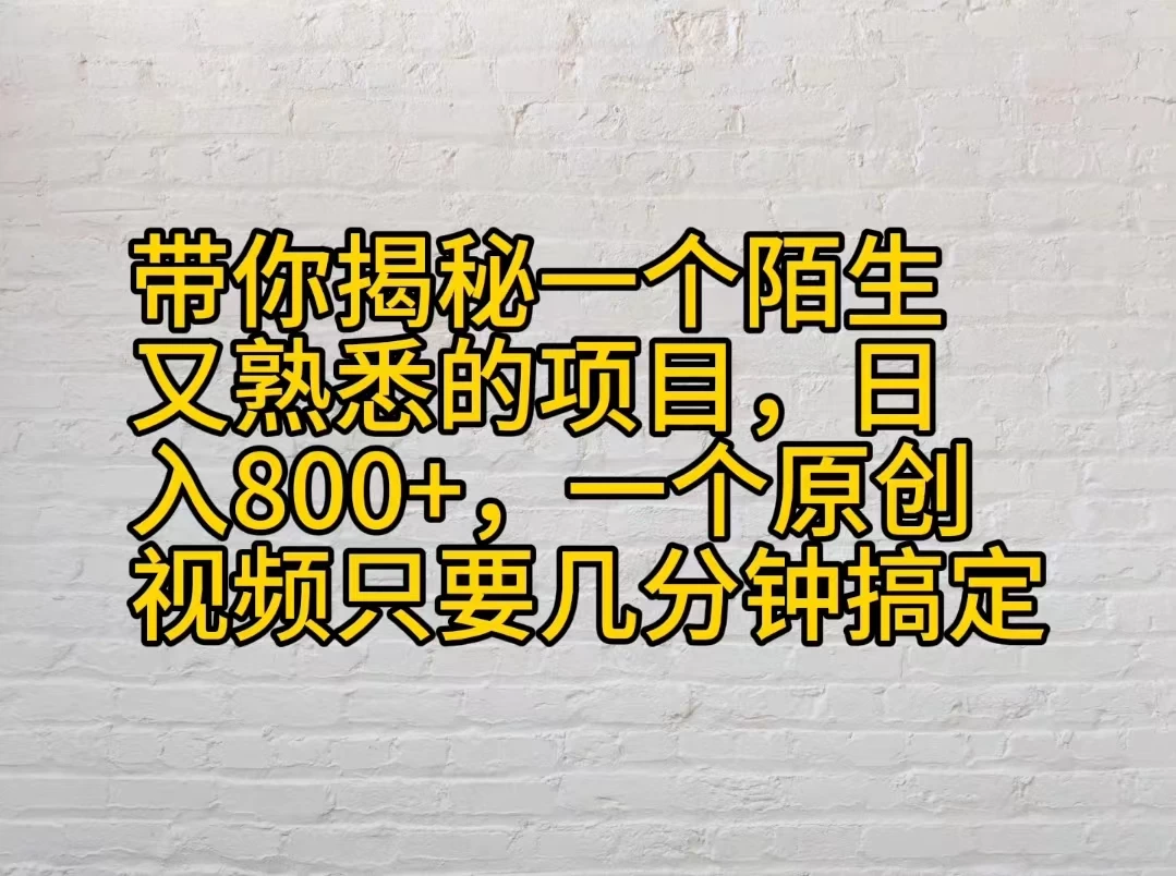带你揭秘一个陌生又熟悉的项目，日入800+，一个原创视频只要几分钟搞定 - 友友资源