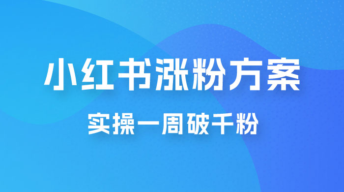 小红书爆款涨粉方案，实操一周破千粉，利用商单轻松变现，在家就能月入过万 - 友友资源