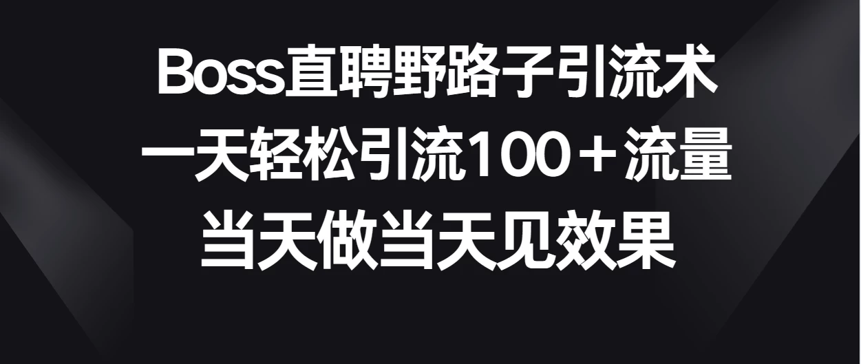 Boss直聘野路子引流术，一天轻松引流100+流量，当天做当天见效果 - 友友资源