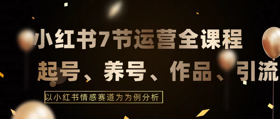最新的7节小红书运营实战全教程，结合最新情感赛道，打通小红书运营全流程 - 友友资源