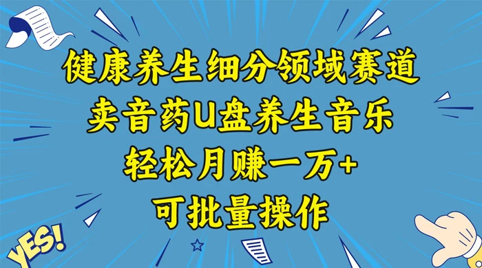 健康养生细分领域赛道，卖音药U盘养生音乐，轻松月赚一万+，可批量操作 - 友友资源