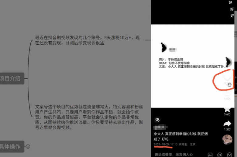 图片[2] - 最新抖音暴力文案号，五天涨粉 10w+，喂饭级拆解教学 - 友友资源