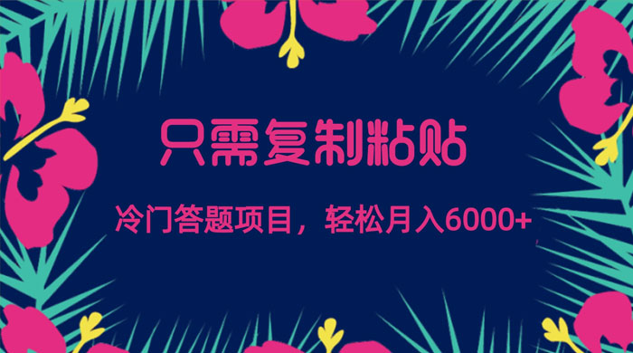 只需复制粘贴，冷门答题项目，轻松月入 6000 - 友友资源