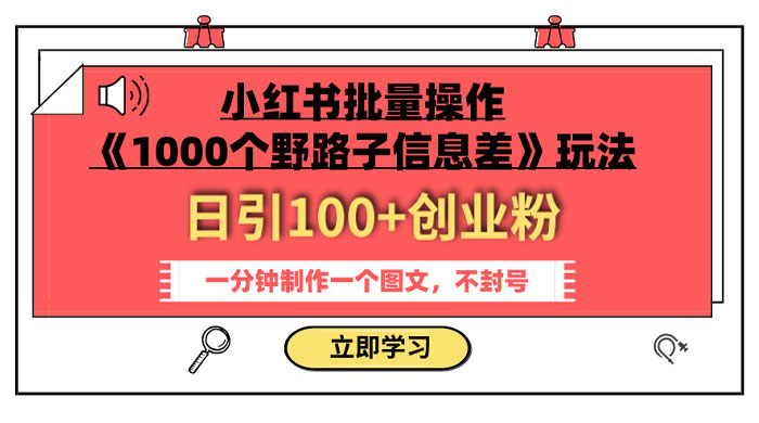 小红书批量操作《 1000 个野路子信息差》玩法，日引 100+ 创业粉，一分钟一个图文 - 友友资源