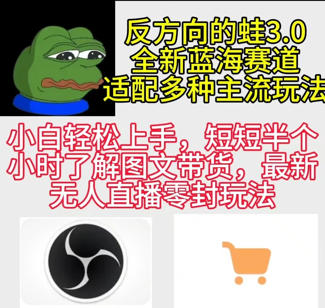 反方向的蛙3.0 图文最新玩法 隐身各种主流项目 新手小白轻松上手 日入2000+ - 友友资源