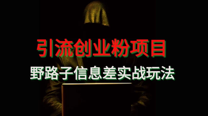 野路子信息差玩法实战教学，引流创业粉 - 友友资源