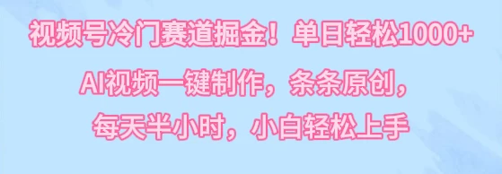 视频号冷门赛道掘金！单日轻松1000+，AI视频一键制作，条条原创，每天半小时，小白轻松上手 - 友友资源