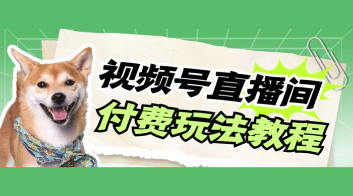 视频号美女付费无人直播，轻松日入500+（详细玩法教程） - 友友资源
