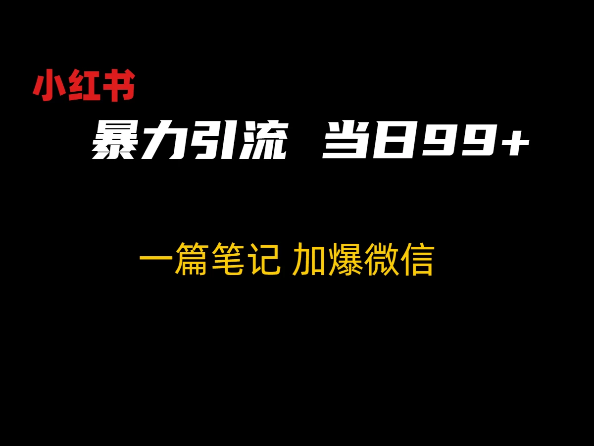 小红书暴力引流方法，当日99+，非常简单的引流方法 - 友友资源