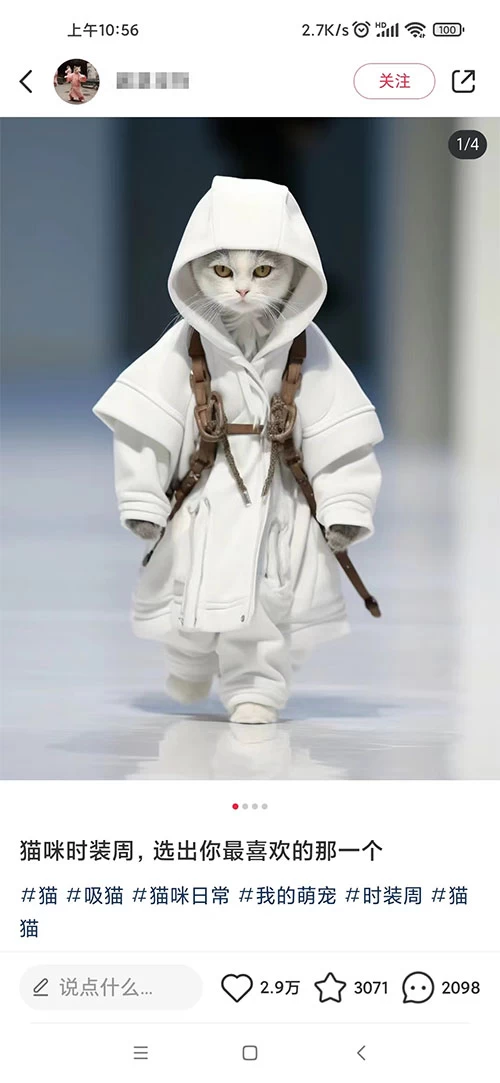 图片[2] - 小红书最新爆款项目，Animal 秀，7天变现 1w+ - 友友资源