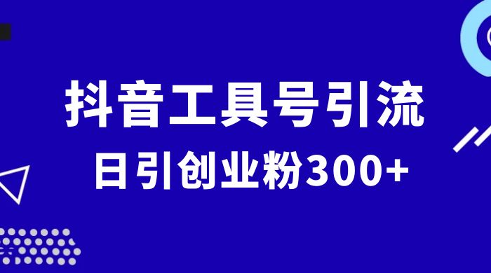 抖音工具号引流玩法，日引创业粉 300+ - 友友资源