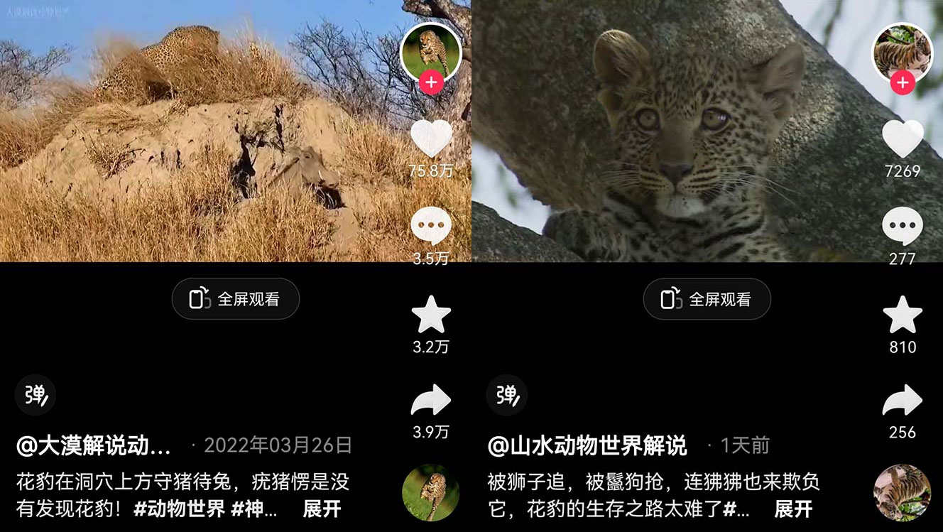 外面卖 1699 的国外纪录片解说：动物、美食、动画片解说，稳过中视频 - 友友资源