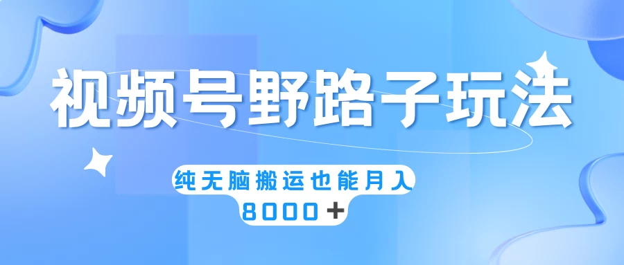 视频号野路子玩法，纯无脑搬运小白可做，月入8000+ - 友友资源