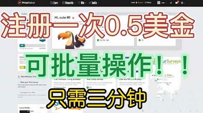 国外注册一次 0.5 美金项目：只需三分钟无脑操作、小白工作室福利 - 友友资源