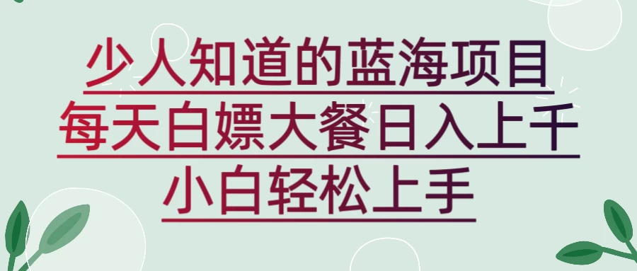 新蓝海长期项目，白嫖大餐日入上千，小白轻松上手 - 友友资源