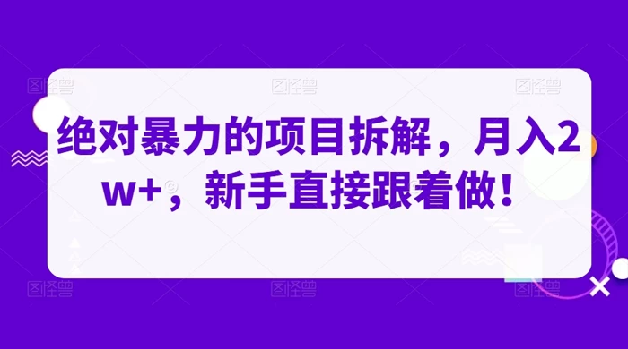 绝对暴力的项目拆解，月入 2w+，新手直接跟着做【揭秘】 - 友友资源