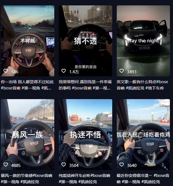 图片[2] - 抖音开车视频项目：0基础操作，每天五分钟，月入过万 - 友友资源