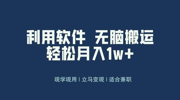 最新蓝海独家玩法，利用软件无脑搬运，小白轻松日入1000＋ - 友友资源