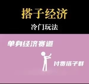 靠搭子经济月入5万每天两小时简单无脑好上手 - 友友资源