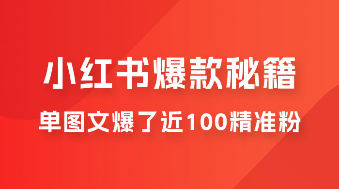 小红书单篇图文连爆秘籍，单图文爆了近 100 精准粉 - 友友资源