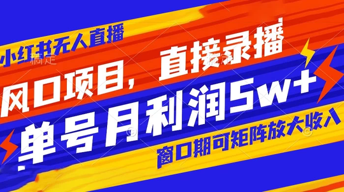 风口项目，小红书无人直播带货，直接录播，可矩阵，月入 5w+ - 友友资源