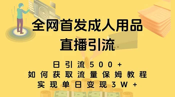 成人用品直播引流获客暴力玩法，单日引流500+，变现 3w+，保姆级教程 - 友友资源