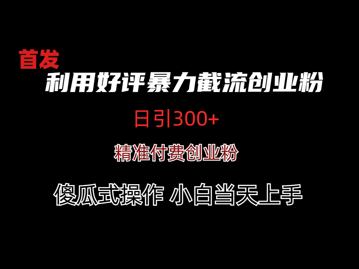 利用好评暴力截流付费创业粉，无需工具，简单且暴力的一个玩法 - 友友资源