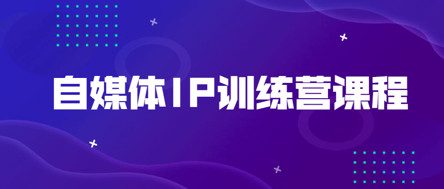 自媒体IP训练营课程 - 友友资源