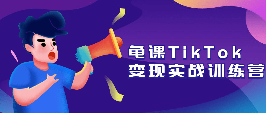 龟课TikTok变现实战训练营 - 友友资源