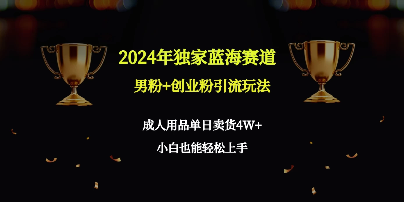 2024独家蓝海赛道，男粉＋创业粉引流玩法。 - 友友资源