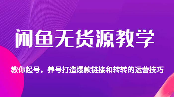 闲鱼无货源电商教学：教你起号，养号打造爆款链接以及转转的运营技巧 - 友友资源